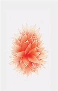 Image result for iPhone SE 2 Wallpaper White