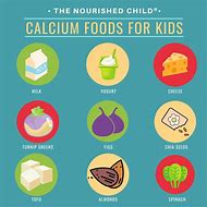 Image result for Calcium Foods for Kids