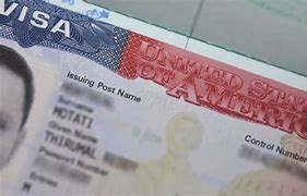 Image result for U.S. Visa