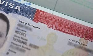 Image result for United States Blank Visa