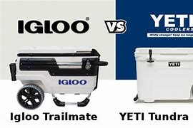 Image result for Yeti vs Igloo