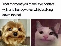 Image result for Point of Contact Meme