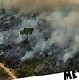 Image result for Amazon Forest Fire