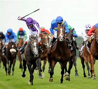 Image result for Horse Racing Themed Wallpaper