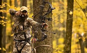 Image result for Compound Bow Shooting