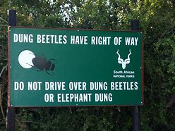 Image result for Funny Animal Signs