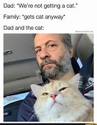 Image result for Cat Dad Jokes
