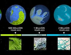 Image result for The Earth in Year 3000
