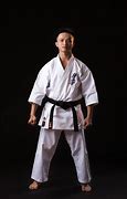 Image result for Basic Karate Stances