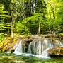Image result for Romania National Parks