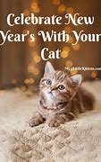Image result for Happy New Year Cat Meme