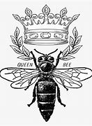 Image result for Queen Bee Draw