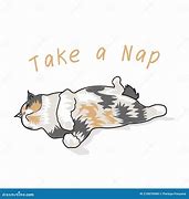 Image result for Cat Nap Meme