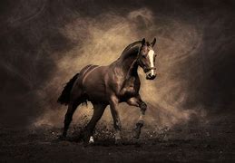 Image result for Horse Background 4K