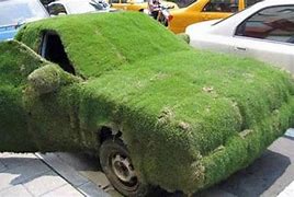 Image result for Funny Car Picurwe