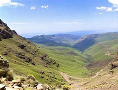 Image result for mohedal