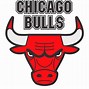 Image result for Chicago Bulls Alternate Logo T-Shirt