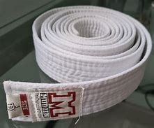 Image result for Taekwondo White Belt