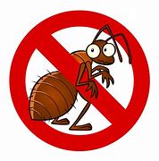 Image result for Pest Inspection Cartoon