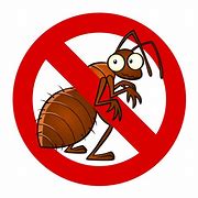 Image result for Insect Pest Cartoon