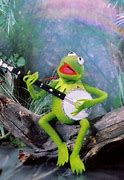 Image result for Kermit Frog Funny
