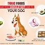 Image result for Toxic Foods Dogs Should Not Eat