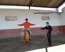 Image result for equitador