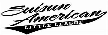 Image result for Team Easton Little League