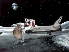 Image result for Cat in Space Drawing