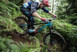 Image result for Electrick Mountain Bike