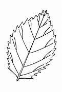 Image result for Leaf Outline