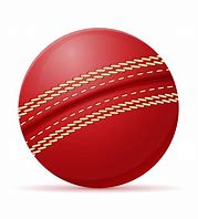 Image result for Cricket Icon Vector