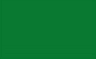 Image result for Green Laptop Wallpaper Plain