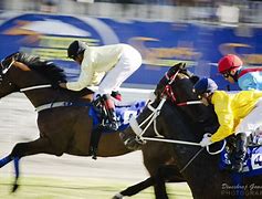 Image result for Horse Racing Template