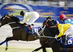 Image result for Two for Tuesdays Horse Racing