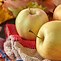 Image result for Fruit That Looks Like a Yellow Apple