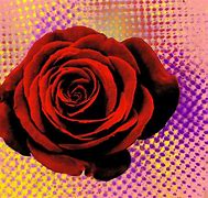 Image result for Pop Art Rose Painting
