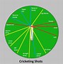 Image result for Cricket Action Gra