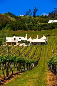 Image result for Te Mata Estate Coleraine