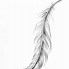 Image result for Eagle Tail Feathers Line Art