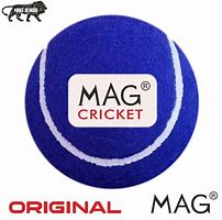 Image result for Cricket Flashcard