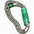 Image result for DMM Tatical Carabiner