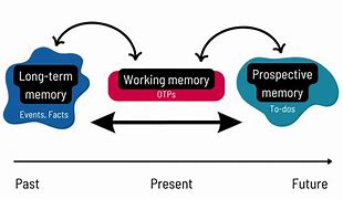 Image result for Prospective Memory Clip Art