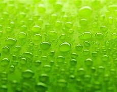 Image result for Cute Lime Green Wallpaper