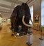 Image result for National Museum Prague