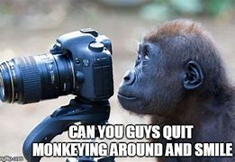 Image result for Serious Monkey Meme