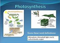 Image result for Photosynthesis 6th Grade Science