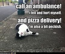 Image result for Cat Ambulance Memes