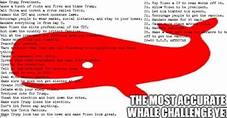 Image result for Banana Whale Meme