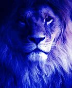 Image result for Go Blue Lions